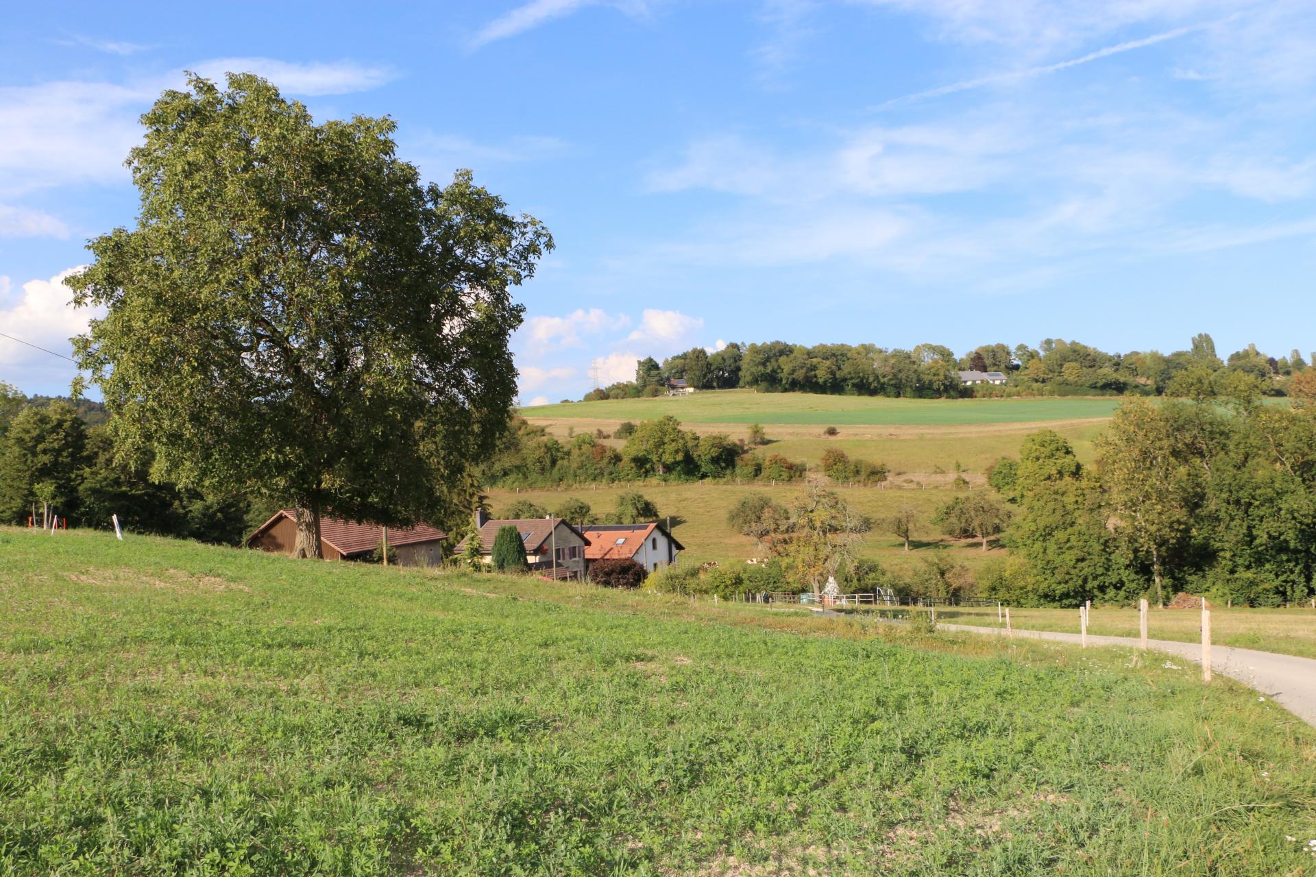 Le Moulin de St-Livres